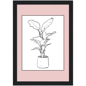 Strelitzia Plant Art