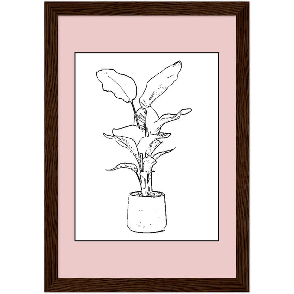 Strelitzia Plant Art